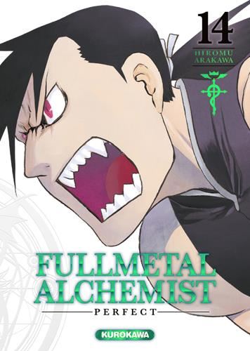 Fullmetal alchemist perfect 14