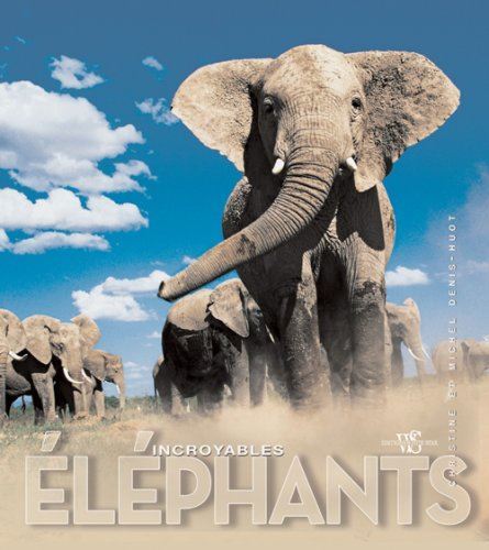 Incroyables elephants