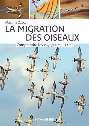 La Migration des oiseaux