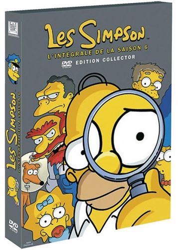 Les Simpson l'intégrale de la saison 6